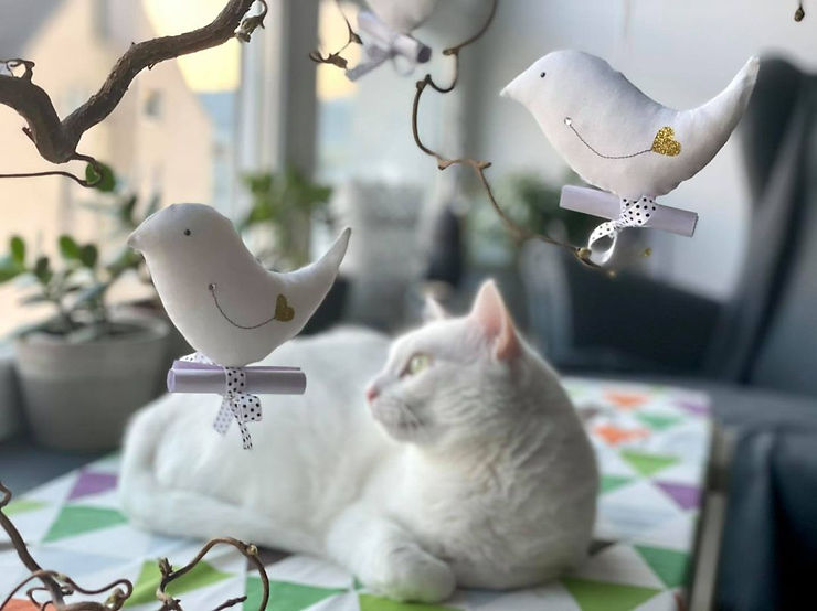 Wish bird, darila za materinski dan, ptiček, muca, ptiček želja, alenka hudales