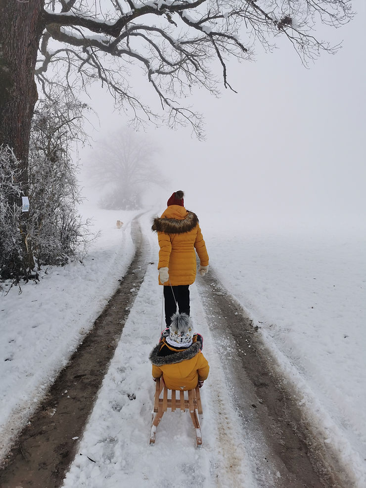 Sankanje za otroke, sankanje, sankališča, sankališče, sankanje v ljubljani, sankanje slovenija, sankališča v sloveniji, sankališča v ljubljani, ljubljana slovenija, sneg, snow, slovenia, visit ljubljana, sanke, sani, zima