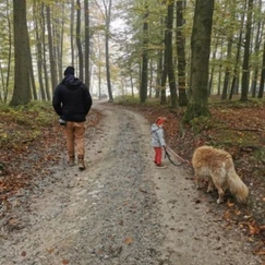 sprehod s psom, sprehod na dan, hiška v gozdu šmarje pri jelšah, ribnik, voukov mlin, šmarje pri jelšah, žička kartuzija, olimje, družinske počitnice, počitnice, prvi maj 2023, kam za prvi maj, kam za 1 maj, prvomajske počitnice, ideje za prvi maj, kam za prvi maj na izlet, kam za prvi maj z avtom, prvomajske počitnice v sloveniji, kam za prvi maj v sloveniji, krompirjeve počitnice, šolske počitnice, družinske počitnice, rogaška slatina, žička kartuzija izlet, jelenov greben, olimje srne, jelšingrad, hiška v gozdu, v gozdu, gozd, listje, jesen, potovanje z otrokom, podčetrtek, samostan, čokoladnica