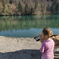 zbiljsko jezero, labodi, labod, otrok, kam z otrokom na izlet, izleti po sloveniji, jezero, zbilje jezero, jezero zbilje, zbilje, trbojsko jezero, trboje, kam na izlet, družinski izlet, izleti v okolici ljubljane, medvode, čolnarna trbolje, parkirišče zbilje, wild west zbilje