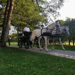 park Brdo, Brdo pri Kranju, izlet Brdo, izlet v okolici Ljubljane, posestvo Brdo pri Kranju, Brdo pri Kranju brunch, parki v bližini Ljubljane, parki v bližini Kranja, Ljubljana, Kranj, izlet Kranj, izlet Ljubljana, družinski izlet, kam z otrokom na izlet