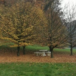 žička kartuzija jeseni