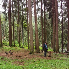 Affenberg opičja gora Avstrija, Landskron, opice v Avstriji, potovanje v avstrijo, izlet v avstrijo, kam za prvi maj, prvi maj 2023, prvomajske počitnice, počitnice, šolske počitnice, enodnevni izlet, ideje za izlet, družinski izleti, izleti za en dan, izlet v avstrijo, avstrija opice, opičja gora, affenberg opičja gora, affenberg, landskron avstrija, kje je opičja gora, affenberg vstopnina, kam za 1 maj, kam za prvi maj 2023, prvomajske počitnice 2023, šolske počitnice 2023, družinski izlet, zoo avstrija, živalski vrt avstrija