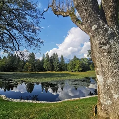 park Brdo, Brdo pri Kranju, izlet Brdo, izlet v okolici Ljubljane, posestvo Brdo pri Kranju, Brdo pri Kranju brunch, parki v bližini Ljubljane, parki v bližini Kranja, Ljubljana, Kranj, izlet Kranj, izlet Ljubljana, družinski izlet, kam z otrokom na izlet