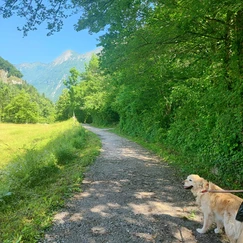 Pešpot do slapa Kozjak, Soča, Kobarid, Soča valley, slap kozjak, Kozjak, Veliki Kozjak, Mali Kozjak, kam z mulcem, izleti po Sloveniji, Bovec, Tolmin, trideseta, Sanja, mami blogerke, potovanje z otrokom