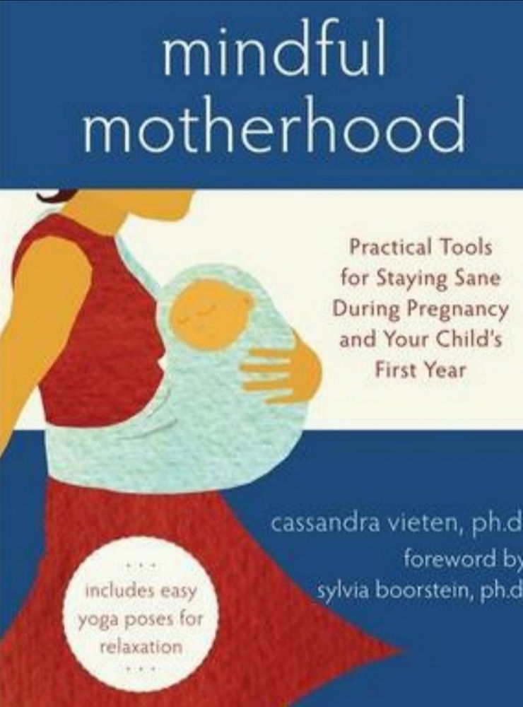 materinstvo, knjige za priprave na materinstvo, knjige o materinstvu, mindfull motherhood, čuječnost, čuječe materinstvo, budizem za matere, prvo leto mama, ana rozman, otroško spanje