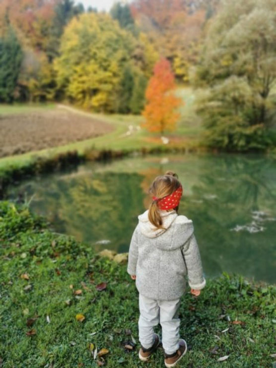 Ribnik narava, družinski izlet, Šmarje pri Jelšah, Podčetrtek, Olimje, Rogaška Slatina, Trideseta Sanja mami blogerke, ribnik, voukov mlin, šmarje pri jelšah, žička kartuzija, olimje, družinske počitnice, počitnice, prvi maj 2023, kam za prvi maj, kam za 1 maj, prvomajske počitnice, ideje za prvi maj, kam za prvi maj na izlet, kam za prvi maj z avtom, prvomajske počitnice v sloveniji, kam za prvi maj v sloveniji, krompirjeve počitnice, šolske počitnice, družinske počitnice, rogaška slatina, žička kartuzija izlet, jelenov greben, olimje srne, jelšingrad, hiška v gozdu, v gozdu, gozd, listje, jesen, potovanje z otrokom, podčetrtek, samostan, čokoladnica