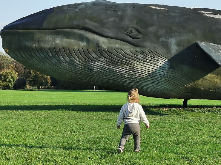 arboretum volčji potok, kit, deklica, toddler, whale, volčji potok, arboretum kamnik, aktivnosti za otroke, kam na izlet, družinski izlet