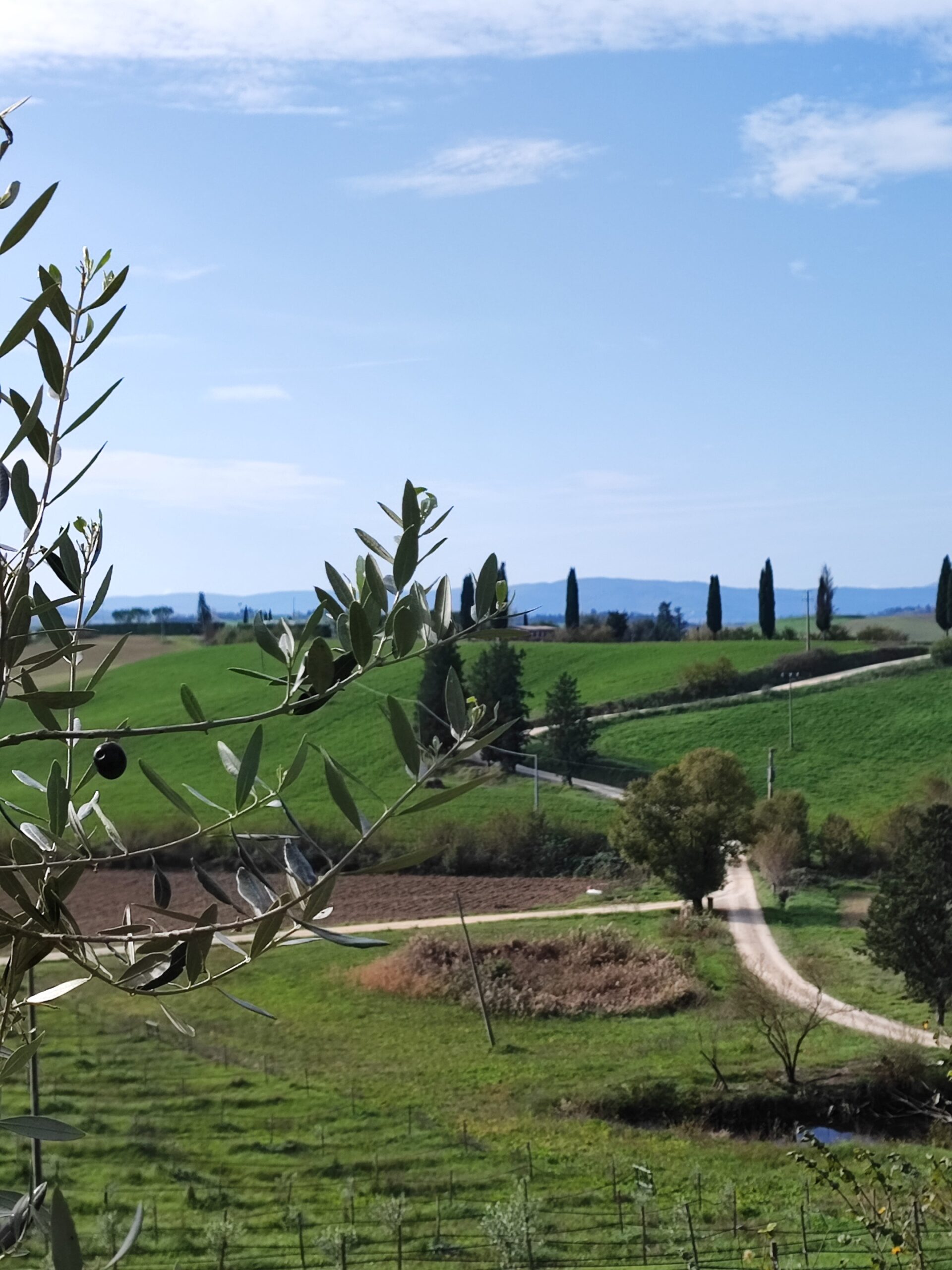 Toskana Italija, Italija, toscana, tuscany, toskana, prvomajske počitnice, kam za 1 maj, kam za prvi maj, kam na počitnice, družinske počitnice, trideseta, mamiblogerke, homeexchange, home exchange, italija, počitnice v italiji, prvi maj italija, prvomajske italija, šolske počitnice, prazniki, prvi maj italija, prvomajske počitnice 2023, prvi maj 2023, italija jezera, jezera v italiji, kam na izlet, potovanje z otrokom, kam z mulcem, načrt za potovanje, potovalni načrt, izlet z otrokom, kam na izlet v bližini slovenije, positano, amalfi coast, amalfijska obala, amalfi, neapelj, naples, italy