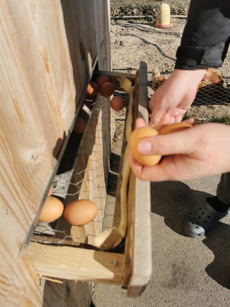 Prekmurje, Bukovniško jezero, kje spati v prekmurju, prekmurje kje spati, teambuilding prekmurje, jezero prekmurje, kaj početi v prekmurju, goričko, goričko izlet, prekmurje izlet, na izlet v prekmurje, slovenija izlet, družinski izlet, družinske počitnice, trideseta, energetske točke, pustolovski park, pustolovski park bukovniško jezero, izvir sv. vida, vidov izvir, cerkev sv. vida, gozd, pravljični park, pravljični gozd, pravljični park bukovniško jezero, pravljični park moravske toplice, moravske toplice, toplice, prekmurje toplice, hotel livada, hiša it volne, prekmurje prenočišča, moravske toplice apartma, izlet s psom, nastanitev za hišne ljubljenčke, prekmurska gibanica, hiša gibanice, hotel livada prestige, livada, škrat blagodejnik, pravljični liki, legenda prekmurje, legenda bukovniško jezero, energijske točke, gozdna knjižnica, učna pot bukovniško jezero, učna pot prekmurje, gozdna knjižnice prekmurje, pomurje, adrenalinski park, prleška gibanica, gibanica, hudo dobro, recept gibanica, teambuilding