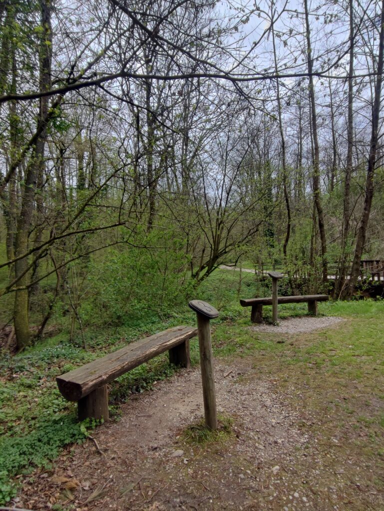 Prekmurje, Bukovniško jezero, kje spati v prekmurju, prekmurje kje spati, teambuilding prekmurje, jezero prekmurje, kaj početi v prekmurju, goričko, goričko izlet, prekmurje izlet, na izlet v prekmurje, slovenija izlet, družinski izlet, družinske počitnice, trideseta, energetske točke, pustolovski park, pustolovski park bukovniško jezero, izvir sv. vida, vidov izvir, cerkev sv. vida, gozd, pravljični park, pravljični gozd, pravljični park bukovniško jezero, pravljični park moravske toplice, moravske toplice, toplice, prekmurje toplice, hotel livada, hiša it volne, prekmurje prenočišča, moravske toplice apartma, izlet s psom, nastanitev za hišne ljubljenčke, prekmurska gibanica, hiša gibanice, hotel livada prestige, livada