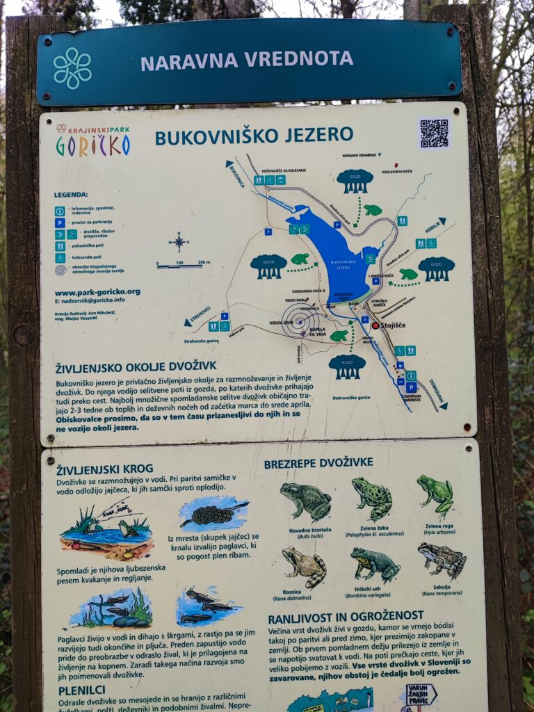 Prekmurje, Bukovniško jezero, kje spati v prekmurju, prekmurje kje spati, teambuilding prekmurje, jezero prekmurje, kaj početi v prekmurju, goričko, goričko izlet, prekmurje izlet, na izlet v prekmurje, slovenija izlet, družinski izlet, družinske počitnice, trideseta, energetske točke, pustolovski park, pustolovski park bukovniško jezero, izvir sv. vida, vidov izvir, cerkev sv. vida, gozd, pravljični park, pravljični gozd, pravljični park bukovniško jezero, pravljični park moravske toplice, moravske toplice, toplice, prekmurje toplice, hotel livada, hiša it volne, prekmurje prenočišča, moravske toplice apartma, izlet s psom, nastanitev za hišne ljubljenčke, prekmurska gibanica, hiša gibanice, hotel livada prestige, livada, škrat blagodejnik, pravljični liki, legenda prekmurje, legenda bukovniško jezero, energijske točke, gozdna knjižnica, učna pot bukovniško jezero, učna pot prekmurje, gozdna knjižnice prekmurje, pomurje