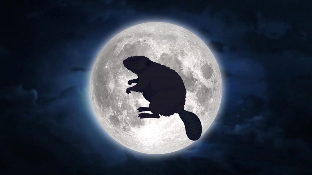 kdaj je polna luna, kdaj je polna luna oktobra, oktober 2023, jesen, polna luna jeseni, polna luna oktober, polna luna oktober 2023, full moon october, october moon, oktober polna luna, kako se imenuje polna luna oktobra, polna luna 2024, polna luna oktober 2023, kdaj se prestavi ura, kdaj se prestavi ura na zimski čas, zimski čas, poletni čas, jesen, lovska luna, lunine mene, november 2023, december 2023, kdaj je polna luna november, kdaj bo polna luna, kdaj bo polna luna novembra, kako se imenuje polna luna novembra, november polna luna 2023, bobrova luna