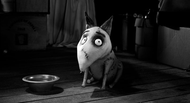 noč čarovnic, halloween, najlepše risanke za otroke, risanke za noč čarovnic, filmi za noč čarovnic, animirani filmi za noč čarovnic, animirani filmi za otroke, filmi za otroke, filmi za mladostnike, risanke za mladostnike, risanke za odrasle, coraline, transilvanija, transylvania, addams family, družina addams, coco, risanka coco, risanka addams family, wednesday, halloween risanke, bi se gnetli na tej metli, julia donaldson, zverjasec, tim burton, caroline, nightmare before christmas, christmas movies, božični filmi, filmi za noč čarovnic, frankenweenie, the corpse bride, mrtva nevesta, predbožična mora