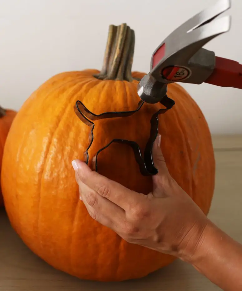 ustvarjanje za noč čarovnic, noč čarovnic, diy halloween, ustvarjanje za halloween, halloween za otroke, izdelovanje buč, DIY noč čarovnic, ustvarjanje duhov, duhovi, duh, duh iz papirja, buča iz papirja, okraševanje buč, buče za noč čarovnic, halloween buče, hokaido buče, oranžne buče, zombie, mumija, ustvarjanje z otroki, aktivnosti za otroke, jesenske aktivnosti, jesen, štampiljke za otroke, vampir, pajek, naredi bučo, spider web, pajek diy, netopir, plastelin, domači plastelin, lizika duh, lizika, domača štampiljka, ustvarjanje z malčkom, noč čarovnic, halloween, jesen, orodje za izrezovanje buče