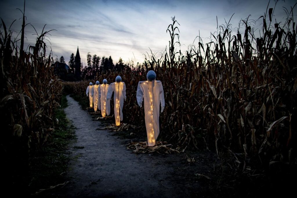 noč čarovnic za otroke, aktivnosti za otroke, noč čarovnic za otroke, halloween za otroke, noč čarovnic, halloween, buče za noč čarovnic, okraševanje buč, hokaido buče, čarovnice, kostumi za noč čarovnic, čarovnice, netopirji, strah, dogodki za noč čarovnic, dogodki za halloween, noč čarovnic za odrasle, aktivnosti za noč čarovnic, noč čarovnic kranj, zoo noč čarovnic, živalski vrt ljubljana