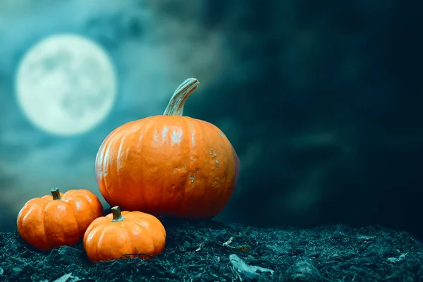 kdaj je polna luna, kdaj je polna luna oktobra, oktober 2023, jesen, polna luna jeseni, polna luna oktober, polna luna oktober 2023, full moon october, october moon, oktober polna luna, kako se imenuje polna luna oktobra, polna luna 2024, polna luna oktober 2023, kdaj se prestavi ura, kdaj se prestavi ura na zimski čas, zimski čas, poletni čas, jesen, lovska luna, lunine mene