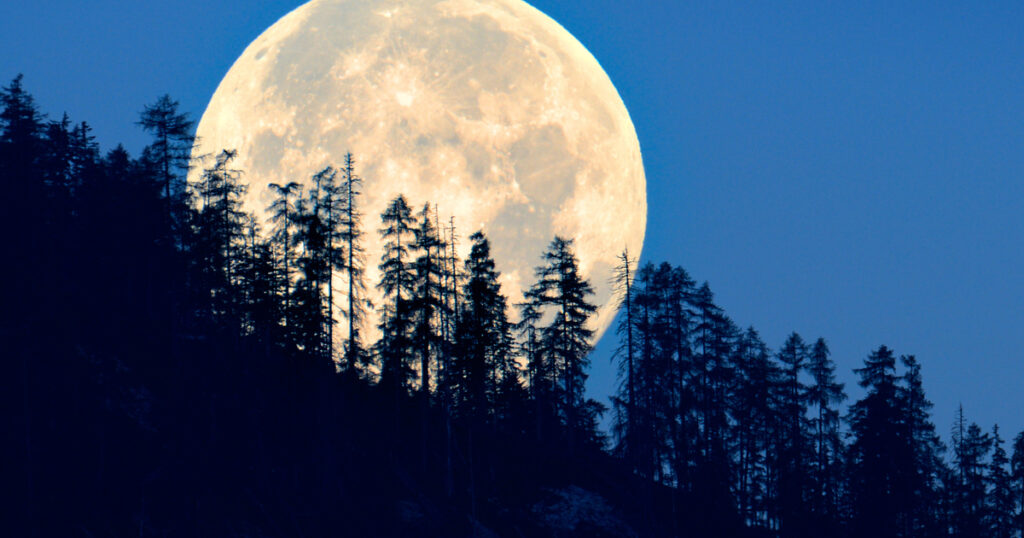 kdaj je polna luna, kdaj je polna luna oktobra, oktober 2023, jesen, polna luna jeseni, polna luna oktober, polna luna oktober 2023, full moon october, october moon, oktober polna luna, kako se imenuje polna luna oktobra, polna luna 2024, polna luna oktober 2023, kdaj se prestavi ura, kdaj se prestavi ura na zimski čas, zimski čas, poletni čas, jesen, lovska luna, lunine mene