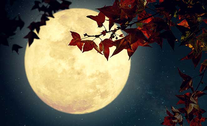 kdaj je polna luna, kdaj je polna luna oktobra, oktober 2023, jesen, polna luna jeseni, polna luna oktober, polna luna oktober 2023, full moon october, october moon, oktober polna luna, kako se imenuje polna luna oktobra, polna luna 2024, polna luna oktober 2023, kdaj se prestavi ura, kdaj se prestavi ura na zimski čas, zimski čas, poletni čas, jesen, lovska luna, lunine mene, november 2023, december 2023, kdaj je polna luna november, kdaj bo polna luna, kdaj bo polna luna novembra, kako se imenuje polna luna novembra, november polna luna 2023, bobrova luna