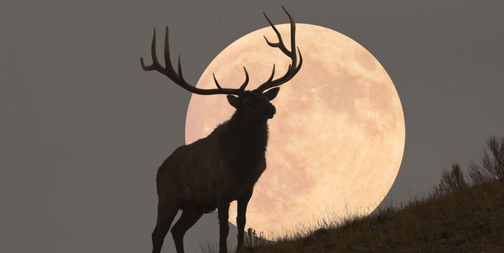 kdaj je polna luna, kdaj je polna luna oktobra, oktober 2023, jesen, polna luna jeseni, polna luna oktober, polna luna oktober 2023, full moon october, october moon, oktober polna luna, kako se imenuje polna luna oktobra, polna luna 2024, polna luna oktober 2023, kdaj se prestavi ura, kdaj se prestavi ura na zimski čas, zimski čas, poletni čas, jesen, lovska luna, lunine mene