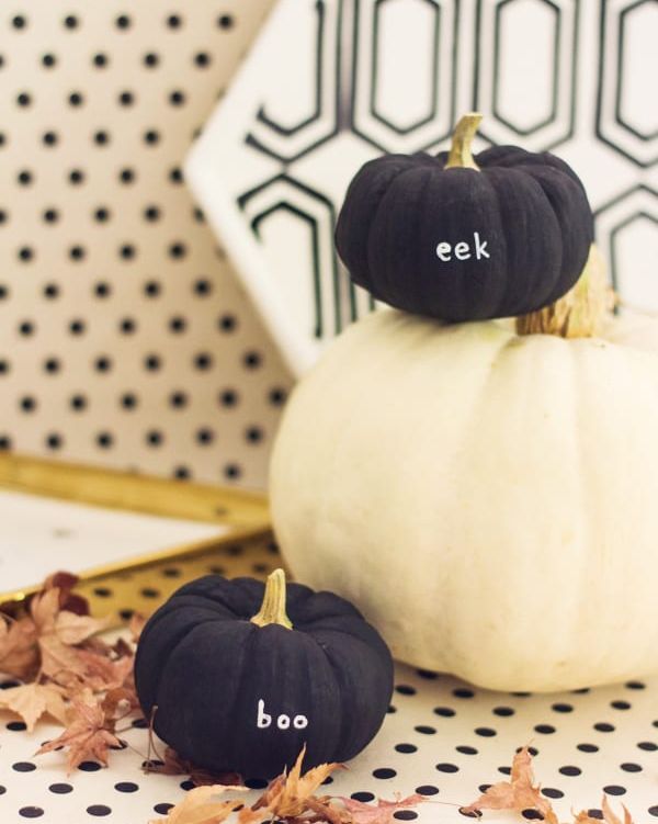 noč čarovnic za otroke, aktivnosti za otroke, noč čarovnic za otroke, halloween za otroke, noč čarovnic, halloween, buče za noč čarovnic, okraševanje buč, hokaido buče, čarovnice, kostumi za noč čarovnic, čarovnice, netopirji, strah, dogodki za noč čarovnic, dogodki za halloween, noč čarovnic za odrasle, aktivnosti za noč čarovnic, noč čarovnic kranj, zoo noč čarovnic, živalski vrt ljubljana, ustvarjanje za noč čarovnic