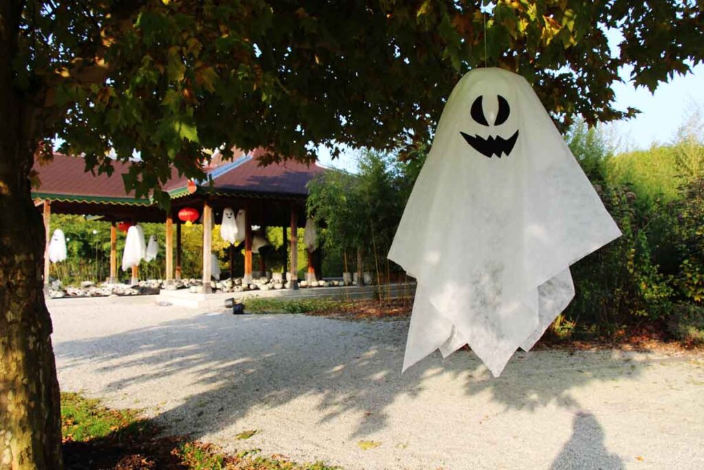noč čarovnic za otroke, aktivnosti za otroke, noč čarovnic za otroke, halloween za otroke, noč čarovnic, halloween, buče za noč čarovnic, okraševanje buč, hokaido buče, čarovnice, kostumi za noč čarovnic, čarovnice, netopirji, strah, dogodki za noč čarovnic, dogodki za halloween, noč čarovnic za odrasle, aktivnosti za noč čarovnic, noč čarovnic kranj, zoo noč čarovnic, živalski vrt ljubljana
