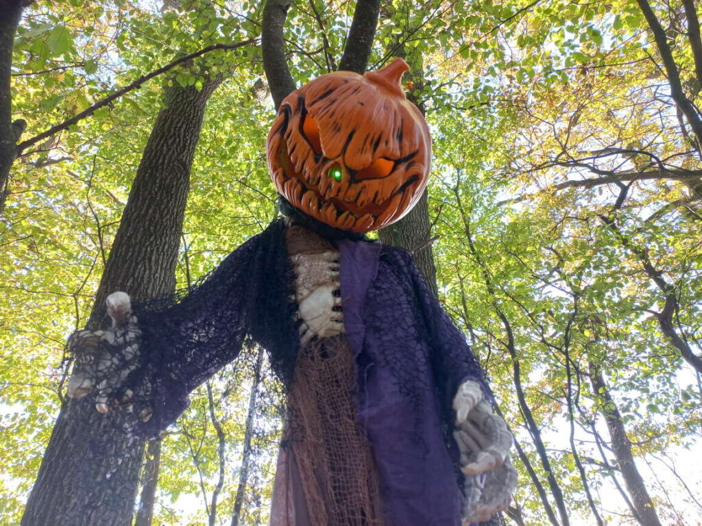 noč čarovnic za otroke, aktivnosti za otroke, noč čarovnic za otroke, halloween za otroke, noč čarovnic, halloween, buče za noč čarovnic, okraševanje buč, hokaido buče, čarovnice, kostumi za noč čarovnic, čarovnice, netopirji, strah, dogodki za noč čarovnic, dogodki za halloween, noč čarovnic za odrasle, aktivnosti za noč čarovnic, bptanični vrt ljubljana, mala ulica dogodki, mala ulica, netopirji, ustvarjanje netopirjev, čarovnice, vampirji, drakula, magični gozd, magični gozd krtina, noč čarovnic krtina, ZOO noč čarovnic, mala ulica noč čarovnic, grad turjak