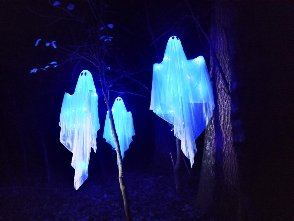 noč čarovnic za otroke, aktivnosti za otroke, noč čarovnic za otroke, halloween za otroke, noč čarovnic, halloween, buče za noč čarovnic, okraševanje buč, hokaido buče, čarovnice, kostumi za noč čarovnic, čarovnice, netopirji, strah, dogodki za noč čarovnic, dogodki za halloween, noč čarovnic za odrasle, aktivnosti za noč čarovnic, bptanični vrt ljubljana, mala ulica dogodki, mala ulica, netopirji, ustvarjanje netopirjev, čarovnice, vampirji, drakula, magični gozd, magični gozd krtina, noč čarovnic krtina, ZOO noč čarovnic, mala ulica noč čarovnic, grad turjak