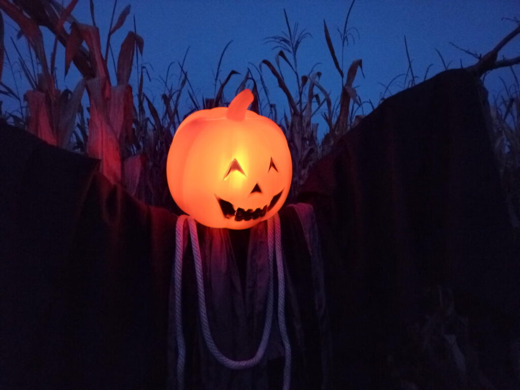 noč čarovnic za otroke, aktivnosti za otroke, noč čarovnic za otroke, halloween za otroke, noč čarovnic, halloween, buče za noč čarovnic, okraševanje buč, hokaido buče, čarovnice, kostumi za noč čarovnic, čarovnice, netopirji, strah, dogodki za noč čarovnic, dogodki za halloween, noč čarovnic za odrasle, aktivnosti za noč čarovnic, noč čarovnic kranj, zoo noč čarovnic, živalski vrt ljubljana koruzni labirint noč čarovnic, grof drakula