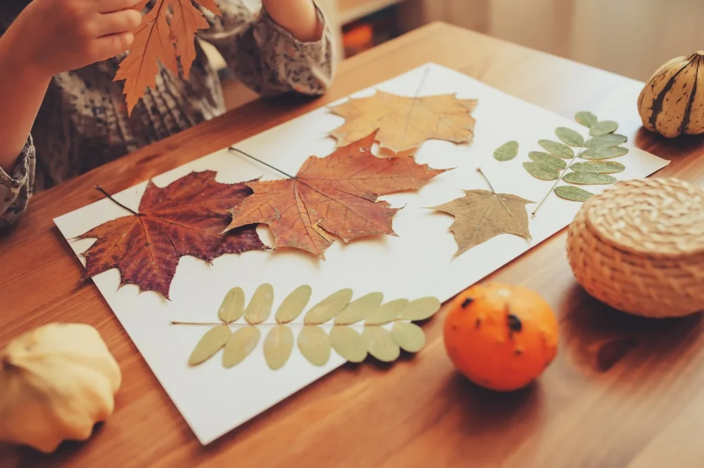 noč čarovnic za otroke, aktivnosti za otroke, noč čarovnic za otroke, halloween za otroke, noč čarovnic, halloween, buče za noč čarovnic, okraševanje buč, hokaido buče, čarovnice, kostumi za noč čarovnic, čarovnice, netopirji, strah, dogodki za noč čarovnic, dogodki za halloween, noč čarovnic za odrasle, aktivnosti za noč čarovnic, noč čarovnic kranj, zoo noč čarovnic, živalski vrt ljubljana, jesenske aktivnosti, jesenske aktivnosti za otroke, festival buč, kostanjev piknik, kostanj, reke, slapovi, jezera, slovenija, izlet, jesenski izlet, družinski izlet