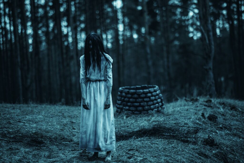 The Ring, najboljše grozljivke, najboljše grozljivke in srhljivke, grozljivke in srhljivke, prstan, ringu, dracula, bram stoker's dracula, drakula, scream, krik, keanu reeves, drew barrymore, blair witch project, čarovnice, groza, strah, srh, psiho, psycho, halloween, noč čarovnic, filmi za noč čarovnic, carrie, the shining, insidious, the conjuring, children of the corn, It, klovn