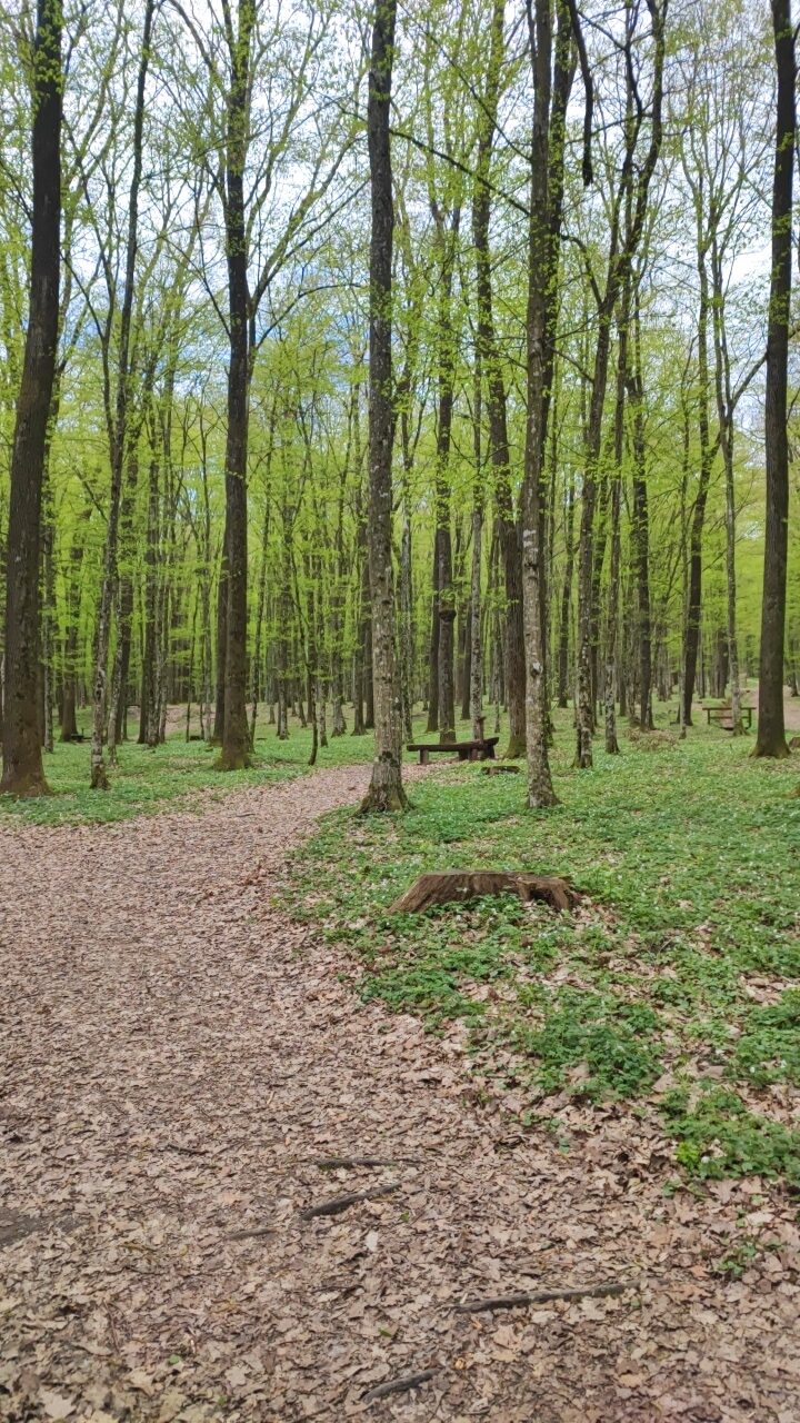 Prekmurje, Bukovniško jezero, kje spati v prekmurju, prekmurje kje spati, teambuilding prekmurje, jezero prekmurje, kaj početi v prekmurju, goričko, goričko izlet, prekmurje izlet, na izlet v prekmurje, slovenija izlet, družinski izlet, družinske počitnice, trideseta, energetske točke, pustolovski park, pustolovski park bukovniško jezero, izvir sv. vida, vidov izvir, cerkev sv. vida, gozd, pravljični park, pravljični gozd, pravljični park bukovniško jezero, pravljični park moravske toplice, moravske toplice, toplice, prekmurje toplice, hotel livada, hiša it volne, prekmurje prenočišča, moravske toplice apartma, izlet s psom, nastanitev za hišne ljubljenčke, prekmurska gibanica, hiša gibanice, hotel livada prestige, livada, gozd