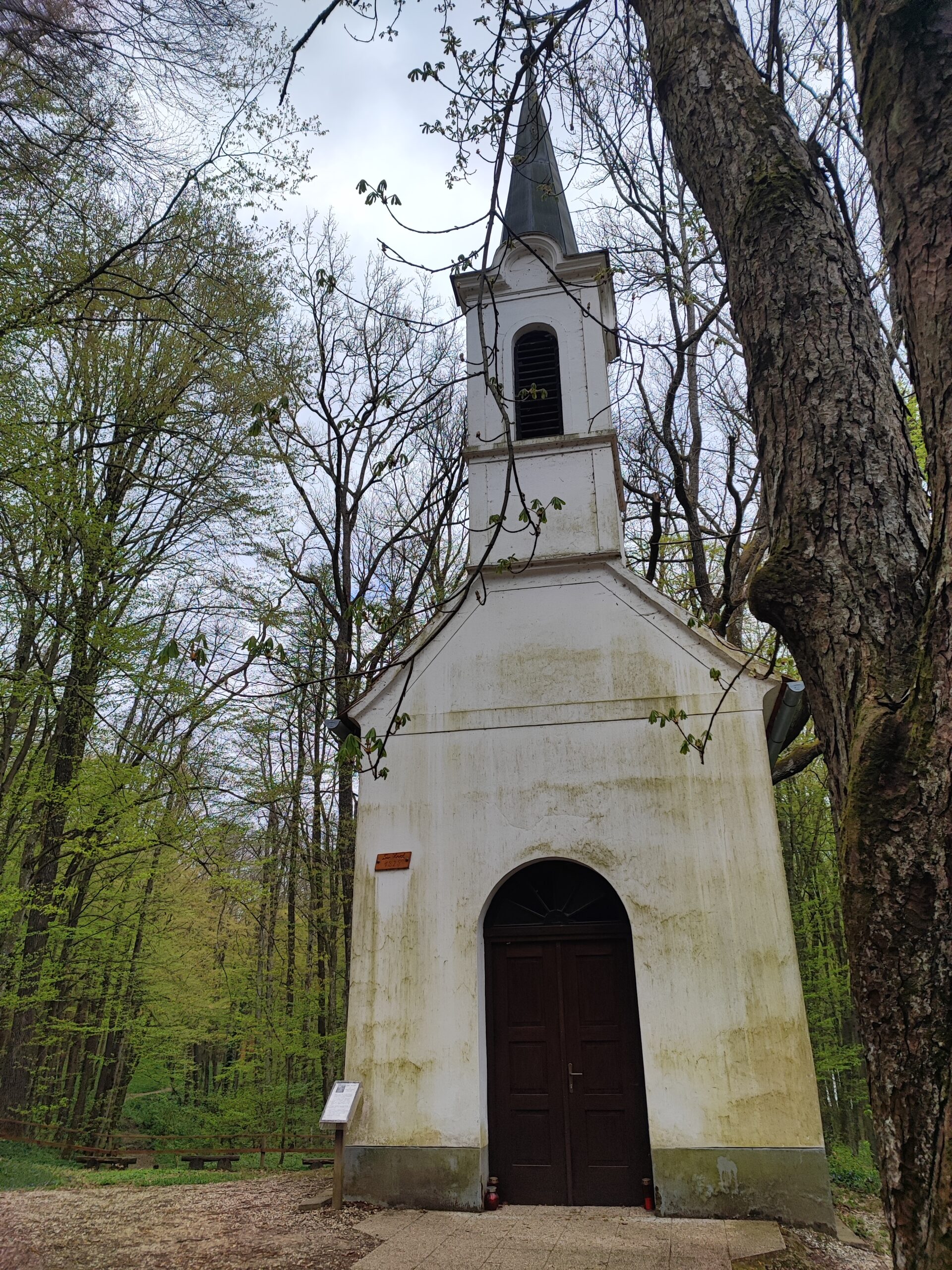 Prekmurje, Bukovniško jezero, kje spati v prekmurju, prekmurje kje spati, teambuilding prekmurje, jezero prekmurje, kaj početi v prekmurju, goričko, goričko izlet, prekmurje izlet, na izlet v prekmurje, slovenija izlet, družinski izlet, družinske počitnice, trideseta, energetske točke, pustolovski park, pustolovski park bukovniško jezero, izvir sv. vida, vidov izvir, cerkev sv. vida, gozd, pravljični park, pravljični gozd, pravljični park bukovniško jezero, pravljični park moravske toplice, moravske toplice, toplice, prekmurje toplice, hotel livada, hiša it volne, prekmurje prenočišča, moravske toplice apartma, izlet s psom, nastanitev za hišne ljubljenčke, prekmurska gibanica, hiša gibanice, hotel livada prestige, livada
