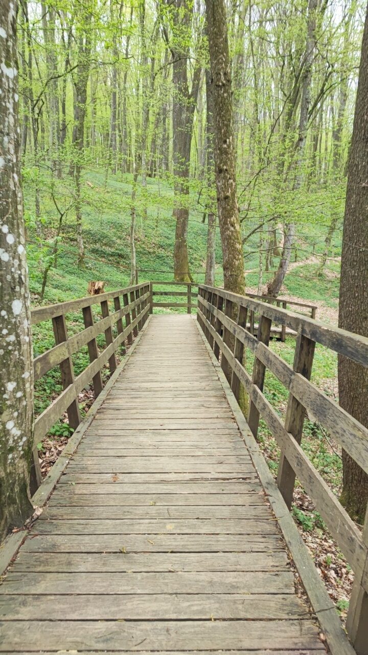 Prekmurje, Bukovniško jezero, kje spati v prekmurju, prekmurje kje spati, teambuilding prekmurje, jezero prekmurje, kaj početi v prekmurju, goričko, goričko izlet, prekmurje izlet, na izlet v prekmurje, slovenija izlet, družinski izlet, družinske počitnice, trideseta, energetske točke, pustolovski park, pustolovski park bukovniško jezero, izvir sv. vida, vidov izvir, cerkev sv. vida, gozd, pravljični park, pravljični gozd, pravljični park bukovniško jezero, pravljični park moravske toplice, moravske toplice, toplice, prekmurje toplice, hotel livada, hiša it volne, prekmurje prenočišča, moravske toplice apartma, izlet s psom, nastanitev za hišne ljubljenčke, prekmurska gibanica, hiša gibanice, hotel livada prestige, livada