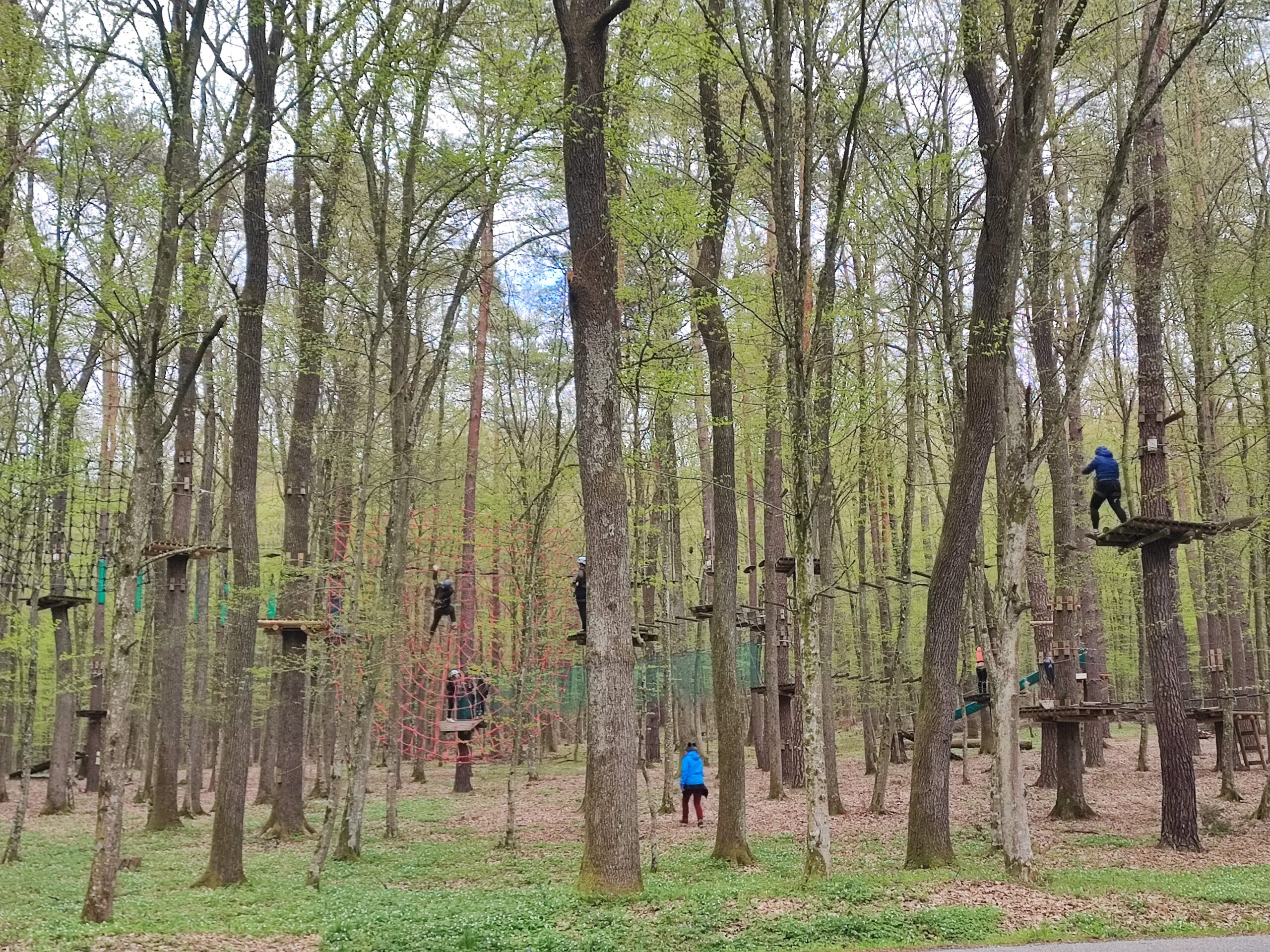 Prekmurje, Bukovniško jezero, kje spati v prekmurju, prekmurje kje spati, teambuilding prekmurje, jezero prekmurje, kaj početi v prekmurju, goričko, goričko izlet, prekmurje izlet, na izlet v prekmurje, slovenija izlet, družinski izlet, družinske počitnice, trideseta, energetske točke, pustolovski park, pustolovski park bukovniško jezero, izvir sv. vida, vidov izvir, cerkev sv. vida, gozd, pravljični park, pravljični gozd, pravljični park bukovniško jezero, pravljični park moravske toplice, moravske toplice, toplice, prekmurje toplice, hotel livada, hiša it volne, prekmurje prenočišča, moravske toplice apartma, izlet s psom, nastanitev za hišne ljubljenčke, prekmurska gibanica, hiša gibanice, hotel livada prestige, livada, škrat blagodejnik, pravljični liki, legenda prekmurje, legenda bukovniško jezero, energijske točke, gozdna knjižnica, učna pot bukovniško jezero, učna pot prekmurje, gozdna knjižnice prekmurje, pomurje, adrenalinski park